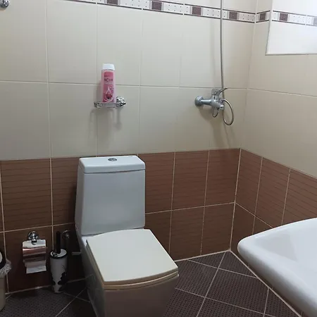 住宿加早餐酒店 Bake